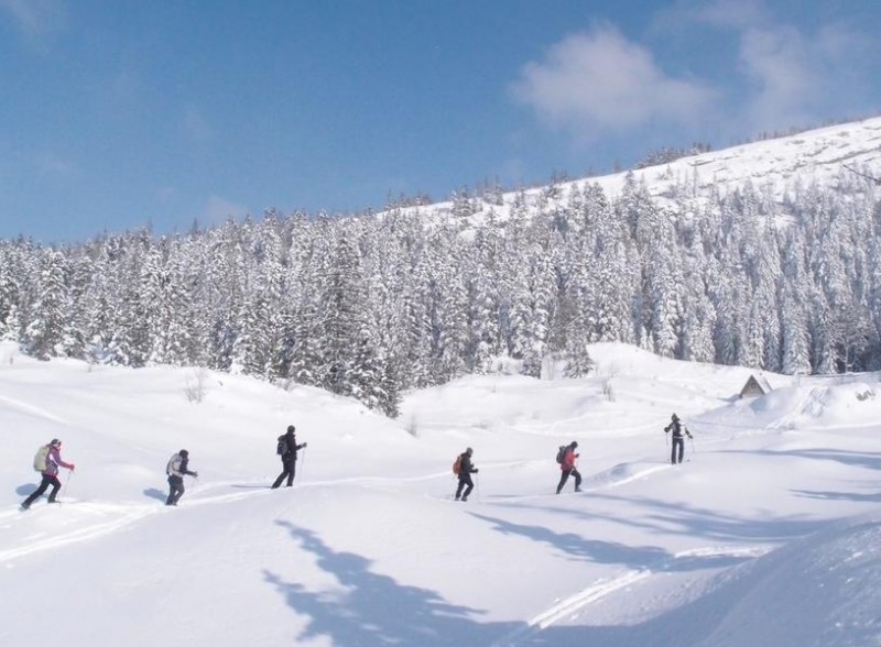 Massif du Vercors, royaume du ski de fond